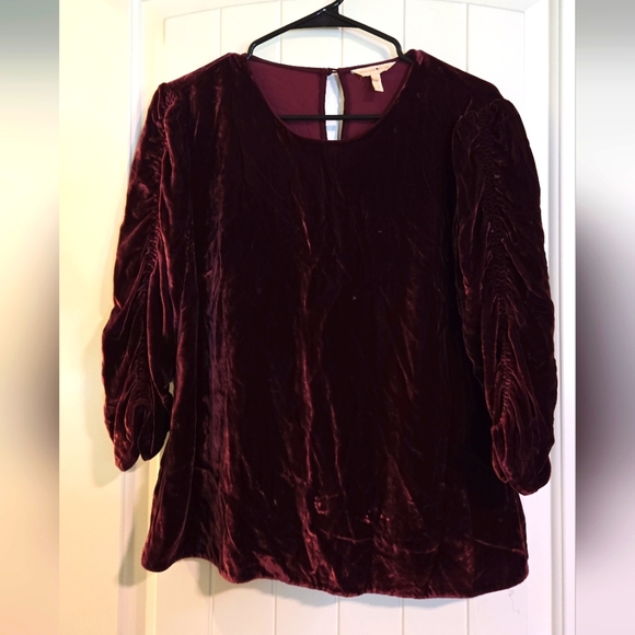 Rebecca Taylor Burgundy Velour Blouse - Picture 1 of 1